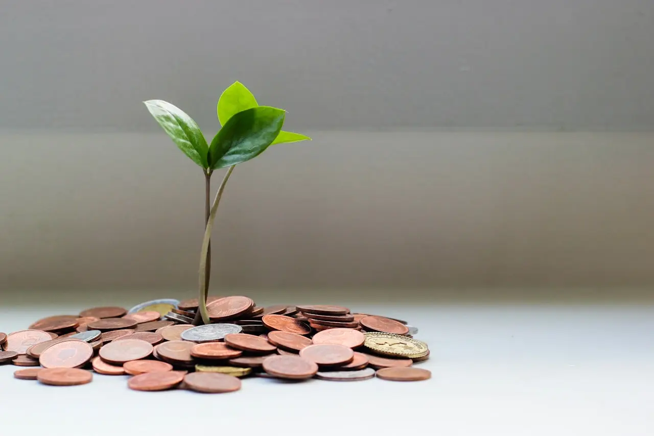 Une jeune pousse sortant d’un tas de pièces de monnaie